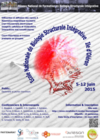 icône affiche Oléron 2015