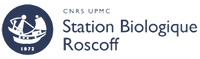 logo-Roscoff